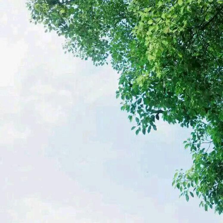村山靖 - 短剧分集全集在线观看 - 网页观影
